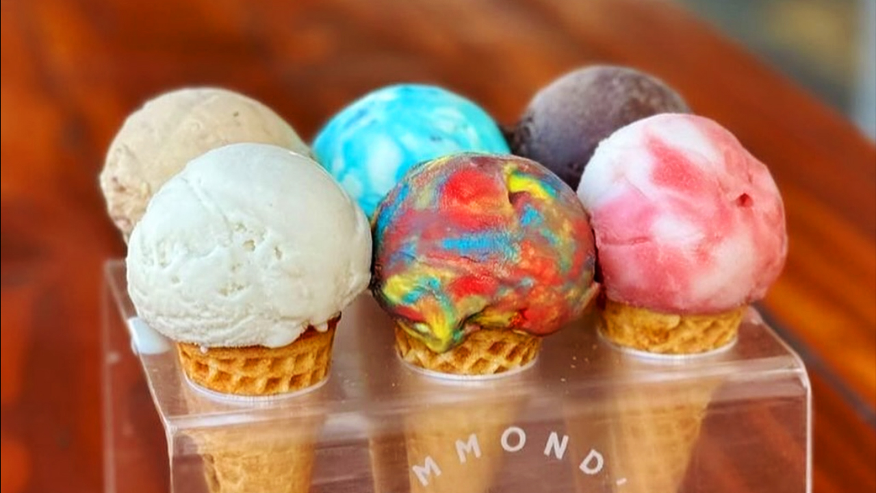 hammonds gourmet ice cream closing